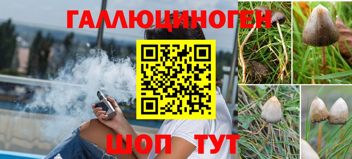 Галлюциногенные грибы Psilocybe Вятские Поляны