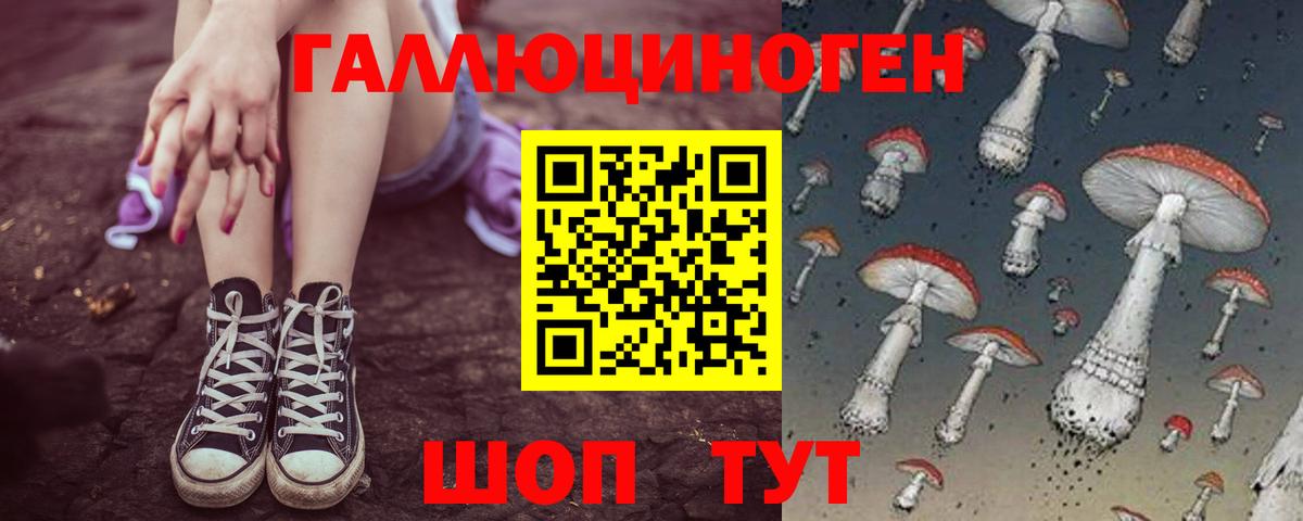 Галлюциногенные грибы Cubensis  Галлюциногенные грибы Psilocybine cubensis  Вход с VPN  Вятские Поляны 